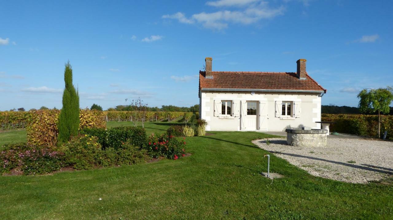 L'Ecrin Au Coeur Des Vignes Villa Saint-Georges-sur-Cher Exterior foto